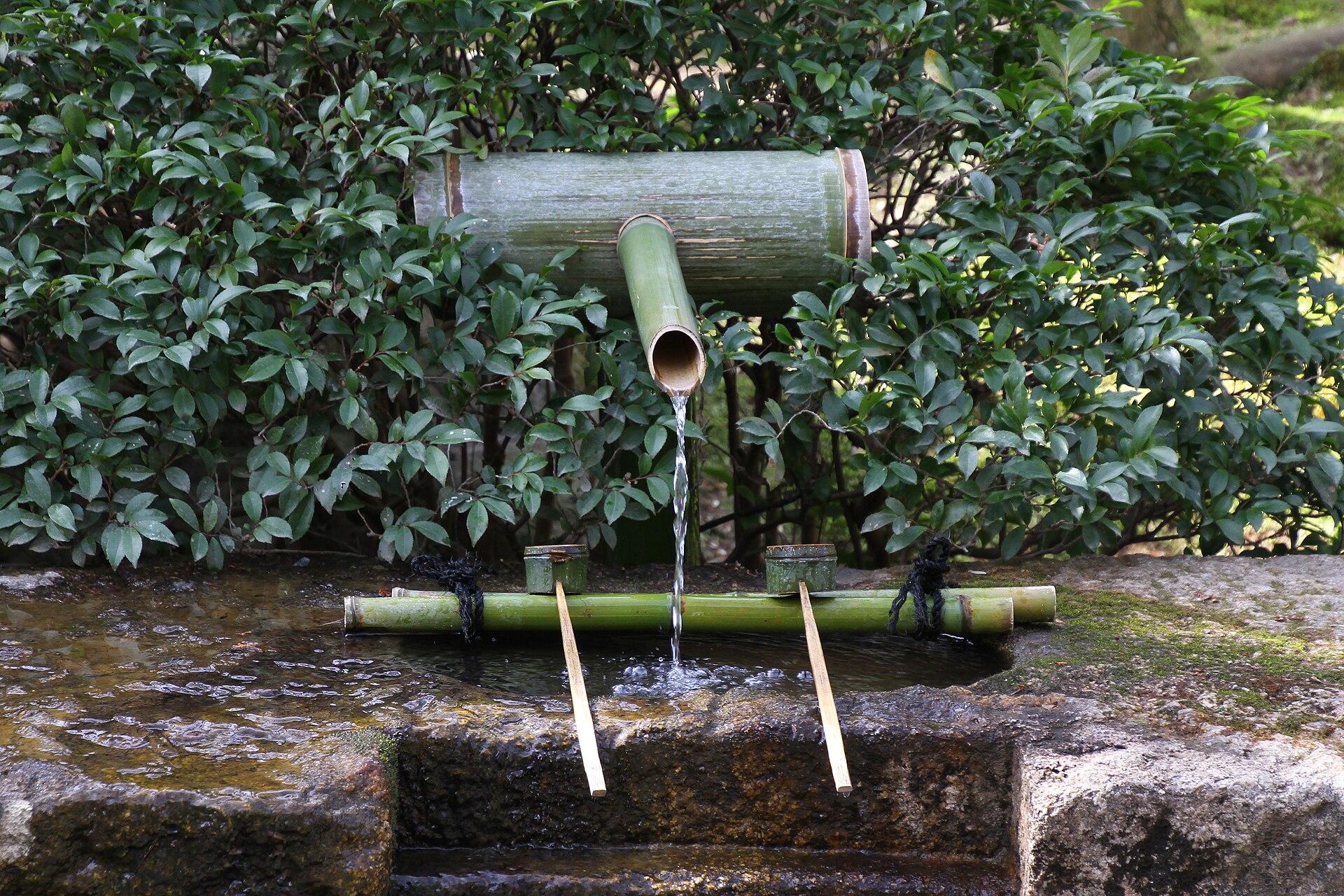 Bamboo Water Basin, Kyoto