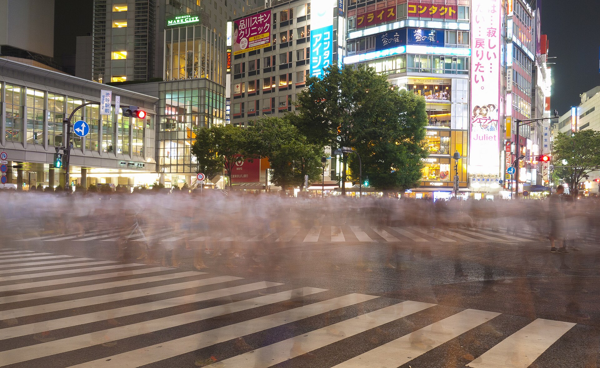 Shibuya Crossing, Tokyo