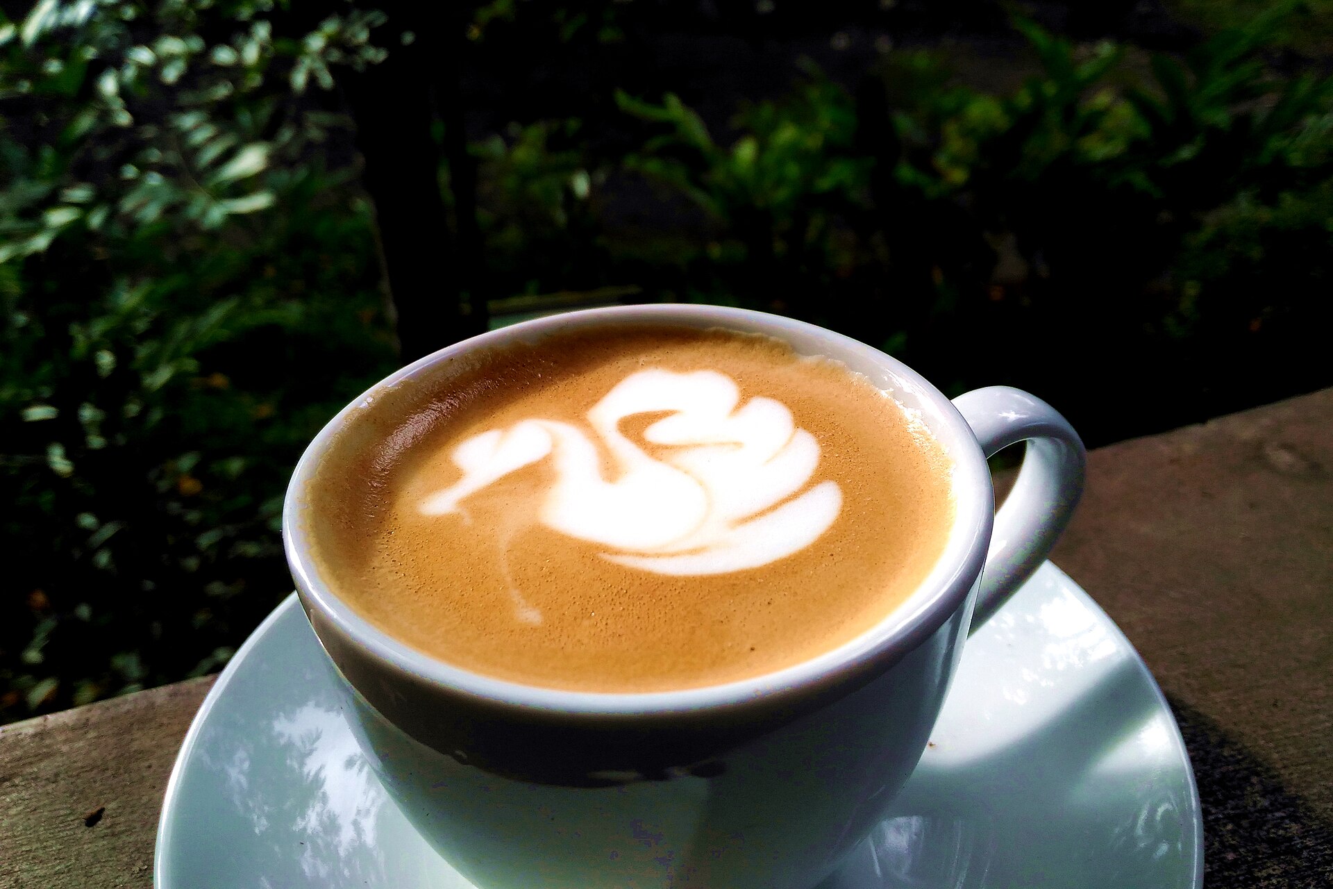 Latte Art Coffee