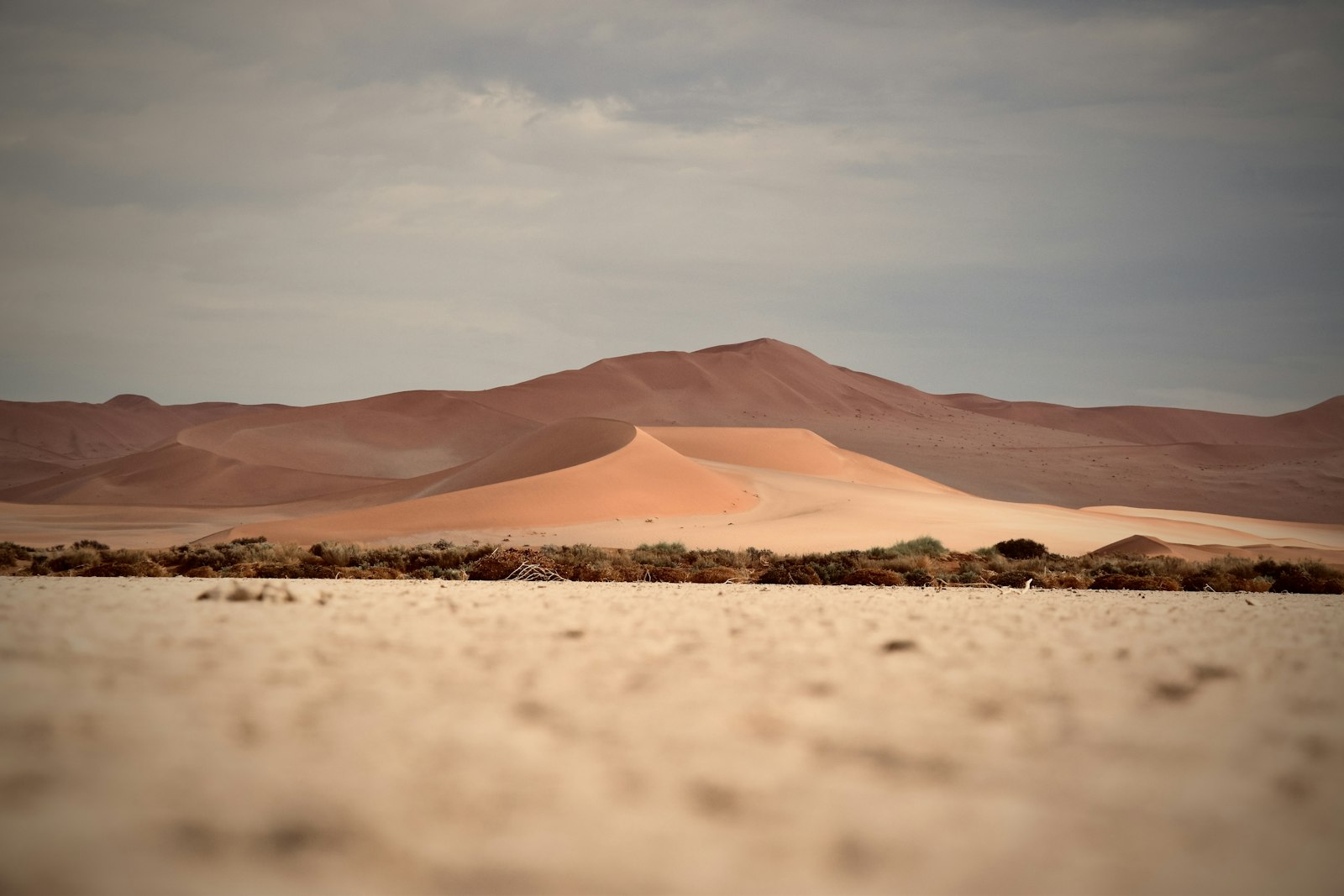 Desert Sand Dunes