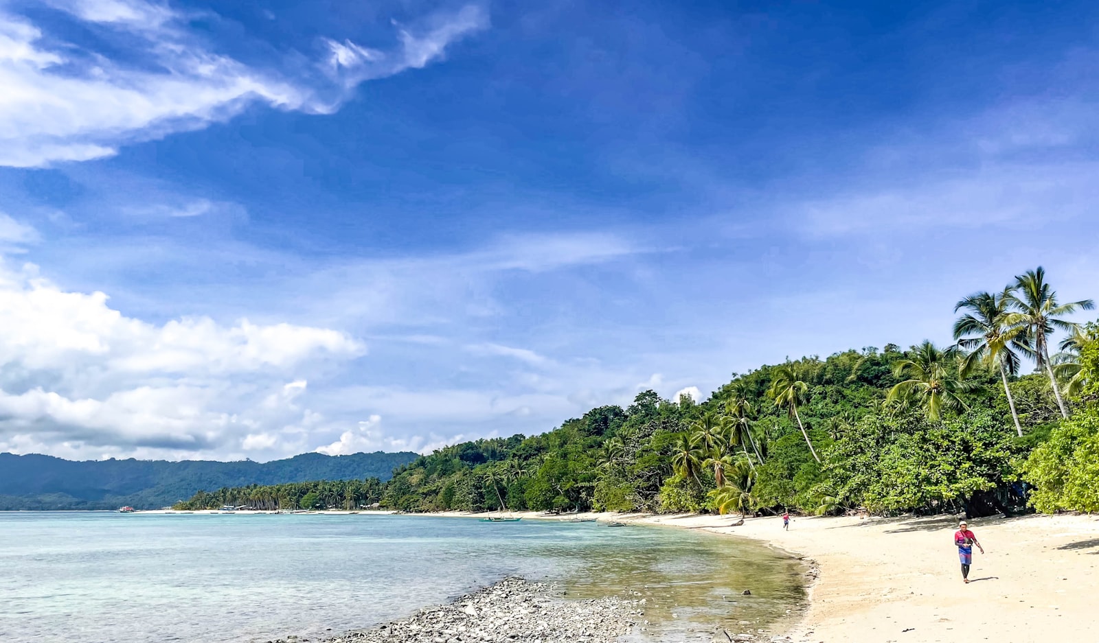 Tropical Beach